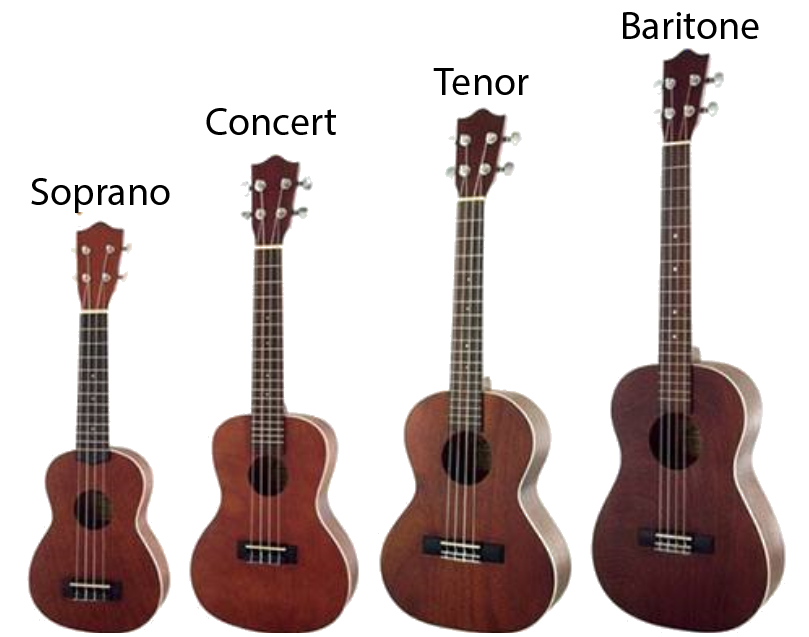 Ukulele Teach 2 Teach Music Lessons